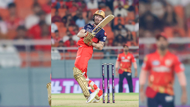 IPL 2025: Salt hits 56 not out as RCB storm into final with eight-wicket win over PBKS